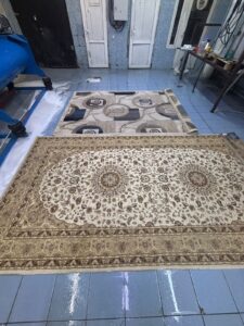 WhatsApp Image 2026-02-19 at 16.19.18