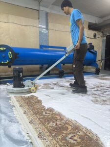 WhatsApp Image 2026-02-19 at 16.19.19